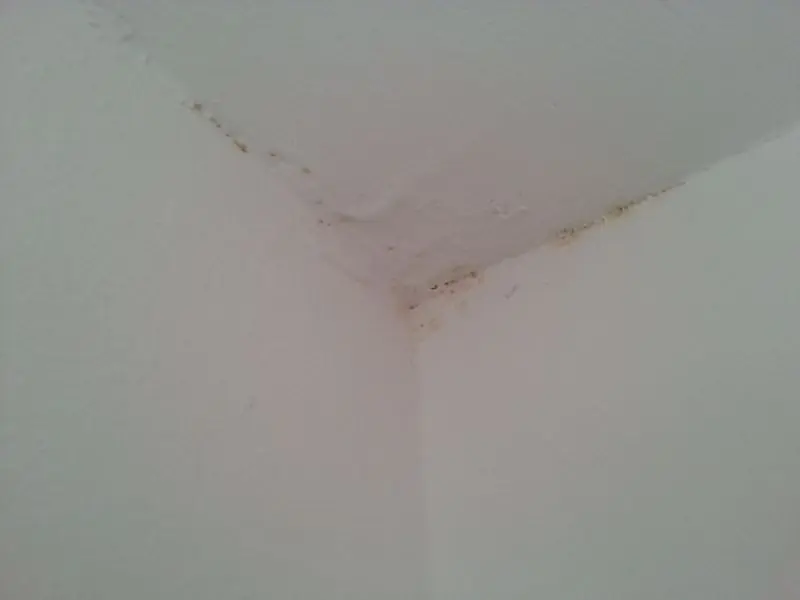 BAU.DE / BAU-Forum: 1. Bild zu Frage "Braune Flecken in Zimmerecke: Schimmel oder Wasserschaden? Ursachen, Abhilfe & Risiken" im BAU-Forum "Wer hat Erfahrung mit" BAU.DE / BAU-Forum: 1. Bild zu Frage "Braune Flecken in Zimmerecke: Schimmel oder Wasserschaden? Ursachen, Abhilfe & Risiken" im BAU-Forum "Wer hat Erfahrung mit"