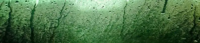Ratgeber: Abhilfe bei feuchten Wänden - Tipps & Lösungen Ratgeber: Abhilfe bei feuchten Wänden - Tipps & Lösungen
