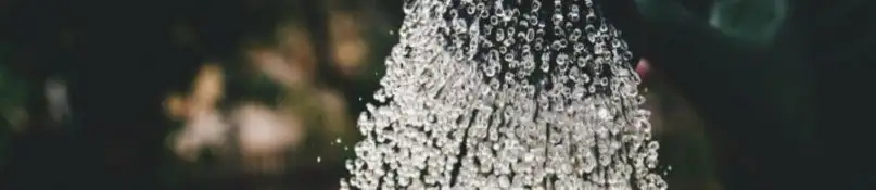 Durchschnittlicher Wasserverbrauch: Warum wir Wassersparmeister sind! Durchschnittlicher Wasserverbrauch: Warum wir Wassersparmeister sind!