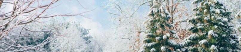 Die letzten Beauty-Tipps für den Garten Die letzten Beauty-Tipps für den Garten