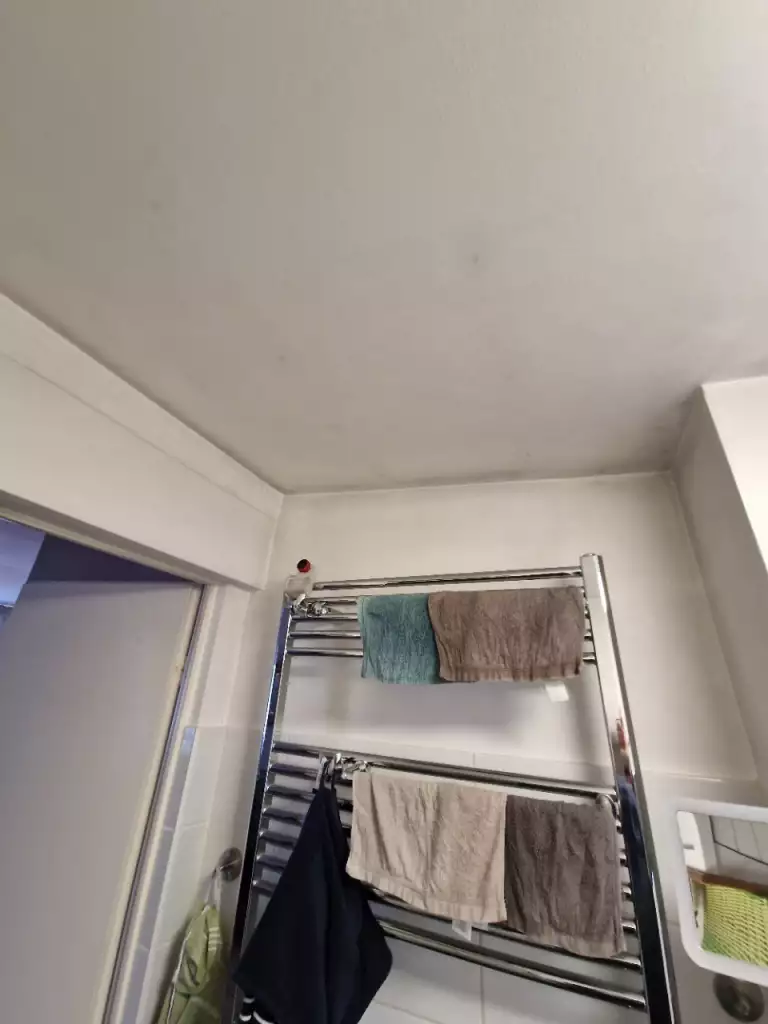 BAU-Forumsbeitrag: Rostflecken von Schrauben in Gipskartondecke: Wie dauerhaft überstreichen? BAU-Forumsbeitrag: Rostflecken von Schrauben in Gipskartondecke: Wie dauerhaft überstreichen?