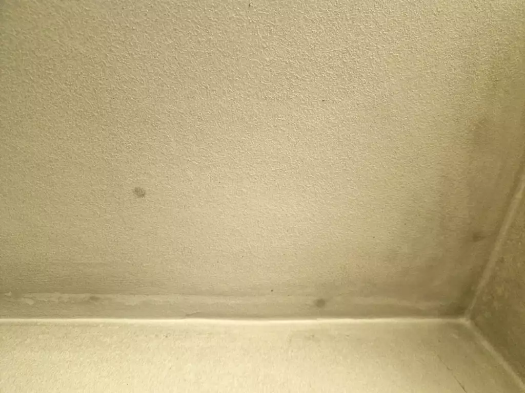 BAU-Forumsbeitrag: Rostflecken von Schrauben in Gipskartondecke: Wie dauerhaft überstreichen? BAU-Forumsbeitrag: Rostflecken von Schrauben in Gipskartondecke: Wie dauerhaft überstreichen?