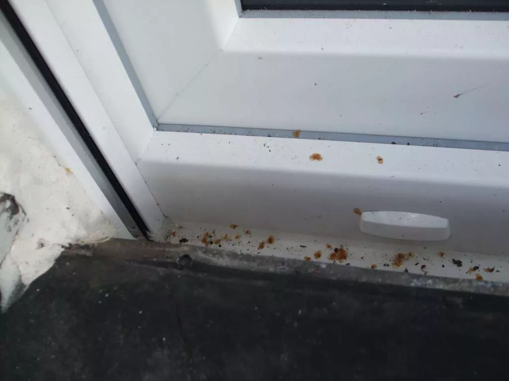 BAU-Forumsbeitrag: Wassereintritt durch Terrassentür: Lösungen für Höhenunterschied zwischen Terrasse und Wohnzimmer? BAU-Forumsbeitrag: Wassereintritt durch Terrassentür: Lösungen für Höhenunterschied zwischen Terrasse und Wohnzimmer?