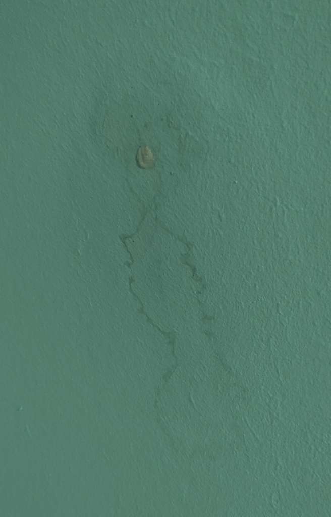 BAU-Forumsbeitrag: Wasserrand & hohle Stelle in Rigips an Dachschräge: Ursache Wasser oder Tier? BAU-Forumsbeitrag: Wasserrand & hohle Stelle in Rigips an Dachschräge: Ursache Wasser oder Tier?