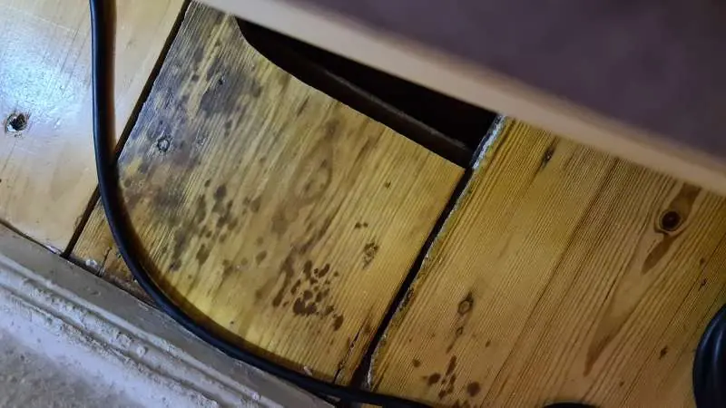 BAU.DE / BAU-Forum: 1. Bild zu Frage "Geruch und Verfärbung Holzdiele" im Forum "Holzschutz, Holzschäden, Holzsanierung" BAU.DE / BAU-Forum: 1. Bild zu Frage "Geruch und Verfärbung Holzdiele" im Forum "Holzschutz, Holzschäden, Holzsanierung"