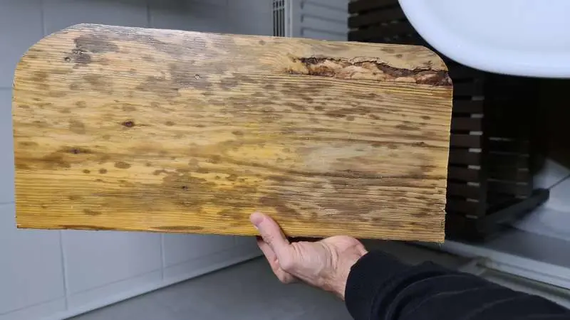 BAU.DE / BAU-Forum: 2. Bild zu Frage "Geruch und Verfärbung Holzdiele" im Forum "Holzschutz, Holzschäden, Holzsanierung" BAU.DE / BAU-Forum: 2. Bild zu Frage "Geruch und Verfärbung Holzdiele" im Forum "Holzschutz, Holzschäden, Holzsanierung"