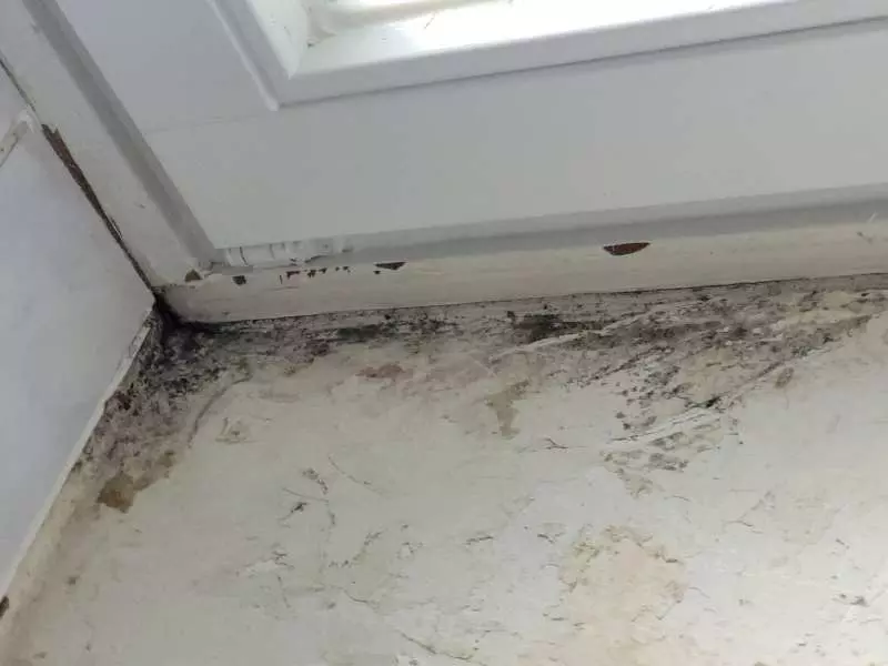 BAU.DE / BAU-Forum: 2. Bild zu Frage "Schimmel unter Fliesen" im Forum "Sanitär, Bad, Dusche, WC" BAU.DE / BAU-Forum: 2. Bild zu Frage "Schimmel unter Fliesen" im Forum "Sanitär, Bad, Dusche, WC"