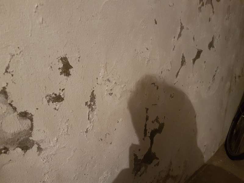 BAU.DE / BAU-Forum: 1. Bild zu Frage "Bruchsteinkeller verputzen/ vormauern" im Forum "Modernisierung / Sanierung / Bauschäden" BAU.DE / BAU-Forum: 1. Bild zu Frage "Bruchsteinkeller verputzen/ vormauern" im Forum "Modernisierung / Sanierung / Bauschäden"