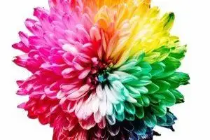 Maler und Lackierer - die Ausbildung - Bild: Sharon Pittaway / Unsplash Maler und Lackierer - die Ausbildung - Bild: Sharon Pittaway / Unsplash