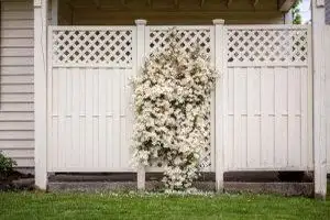 Sichtschutz im eigenen Garten: Bauliche und pflanzliche Varianten im Vergleich - Bild: Tracy Adams / Unsplash Sichtschutz im eigenen Garten: Bauliche und pflanzliche Varianten im Vergleich - Bild: Tracy Adams / Unsplash